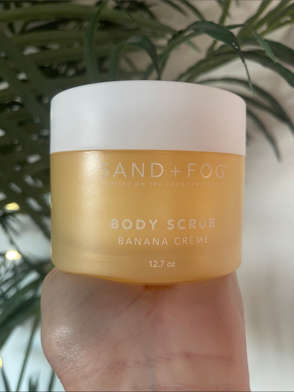SAND + FOG | Banana Cream | Body Scrub